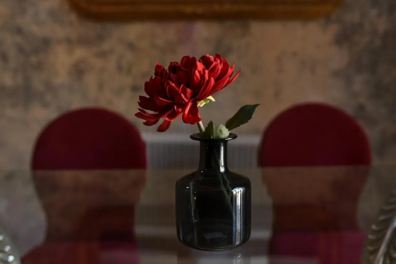 The Brancovanian Apartment - Cismigiu Park Bucharest